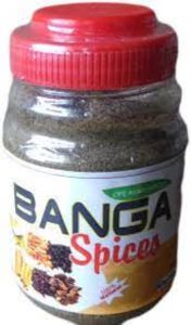 BANGA SPICES