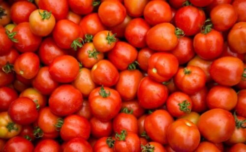 Tomatos