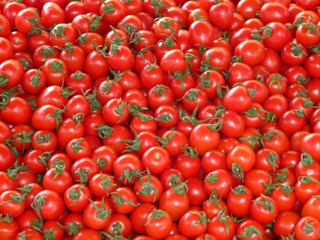 tomatoes